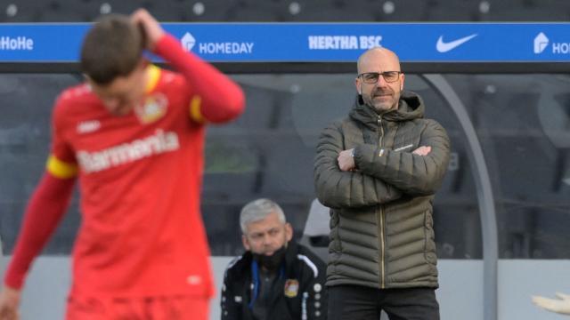 开云体育App入口-给博斯3个月自救未果，勒沃库森向足协租教练救火